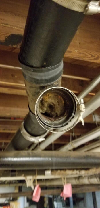 Clogged Sewage Pipe